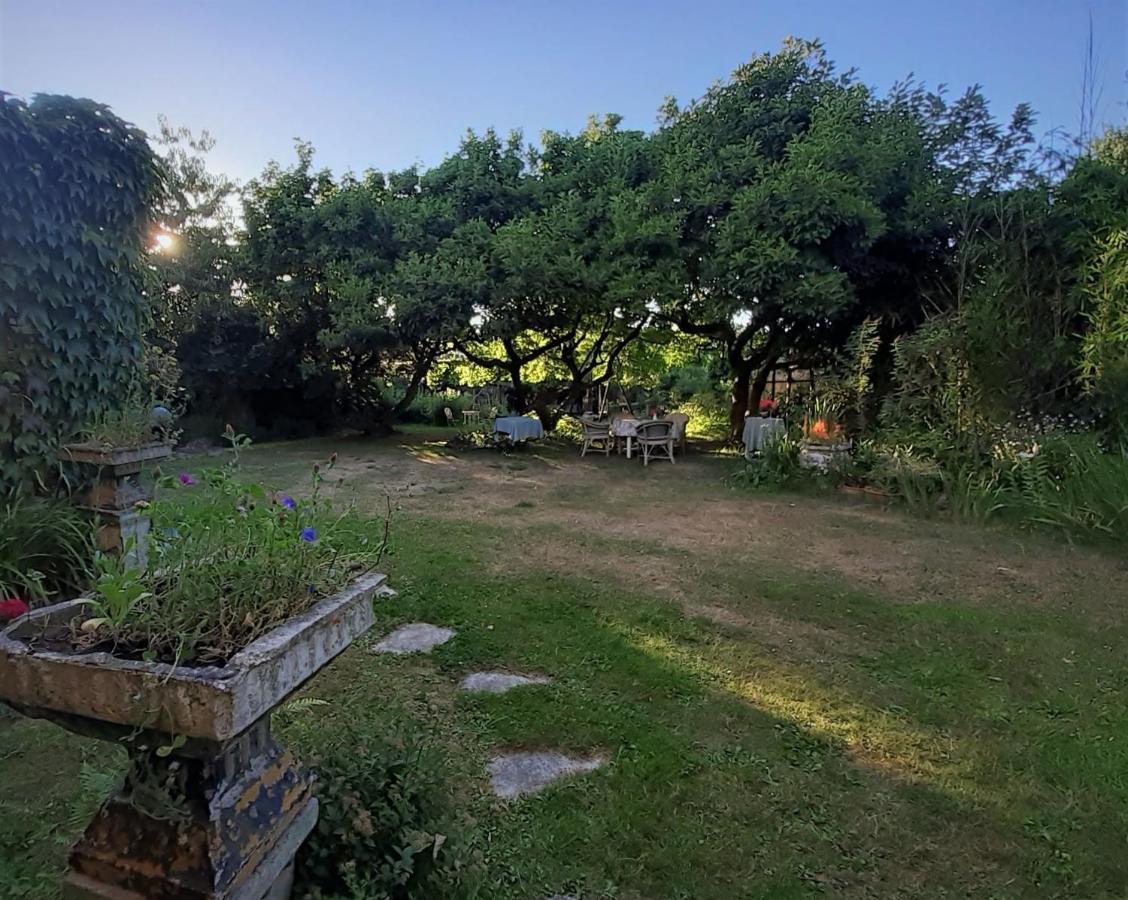 Villa Ritte Dendermonde Zewnętrze zdjęcie