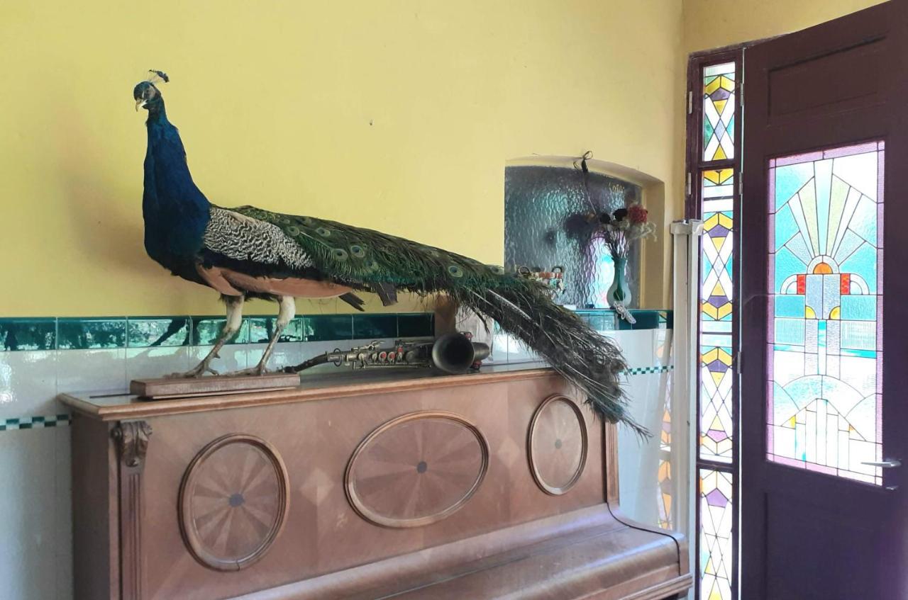 Villa Ritte Dendermonde Zewnętrze zdjęcie