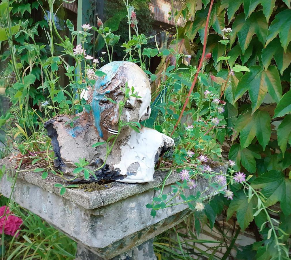 Villa Ritte Dendermonde Zewnętrze zdjęcie
