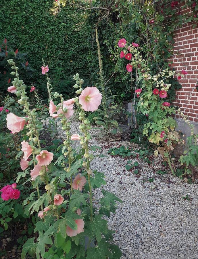 Villa Ritte Dendermonde Zewnętrze zdjęcie