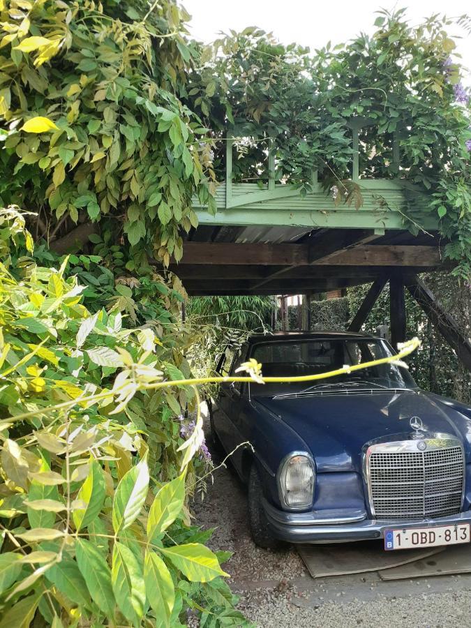 Villa Ritte Dendermonde Zewnętrze zdjęcie
