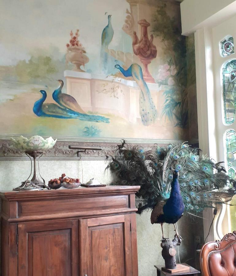 Villa Ritte Dendermonde Zewnętrze zdjęcie